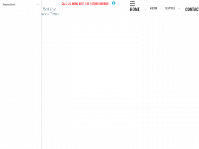 redeyesurveillance.co.uk snapshot