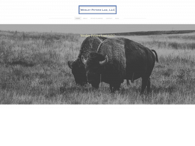 wesleypeterslaw.com snapshot