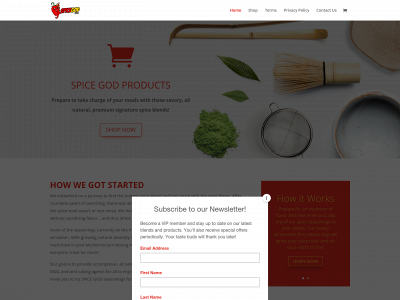 spicegod.com snapshot