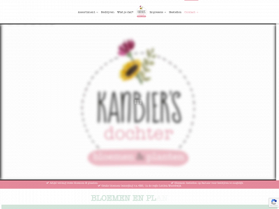 kanbiersdochter.nl snapshot