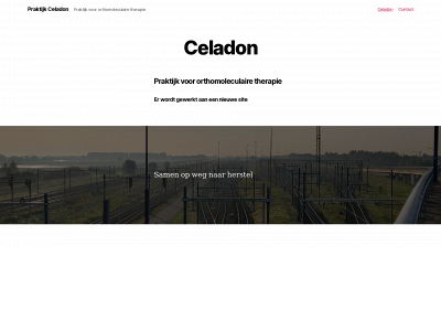 praktijkceladon.nl snapshot