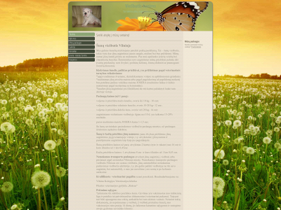 viesbutissunims.lt snapshot
