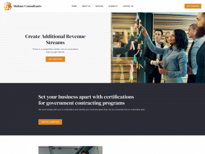maloneconsultantsinc.com snapshot