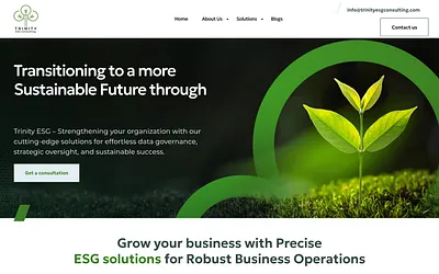 trinityesgconsulting.com snapshot