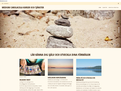 carolalidstrom.se snapshot