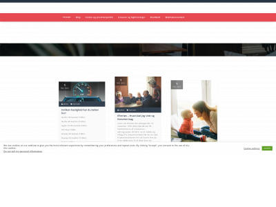 spardinepenge.com snapshot