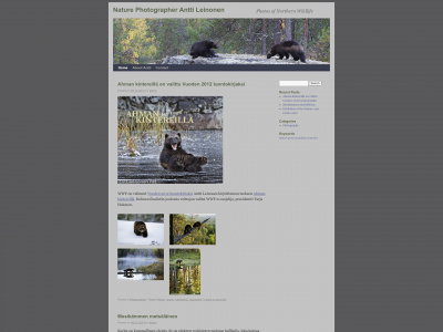 anttileinonen.net snapshot