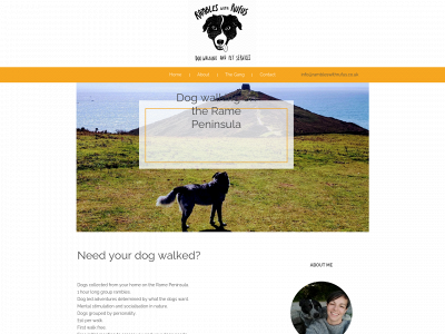 rambleswithrufus.co.uk snapshot