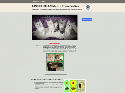 lisselhillsmainecoon.se snapshot