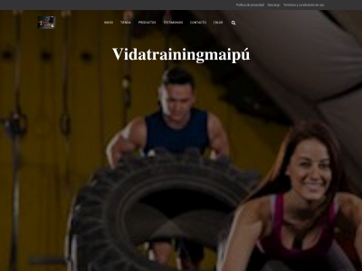vidatrainning.com snapshot