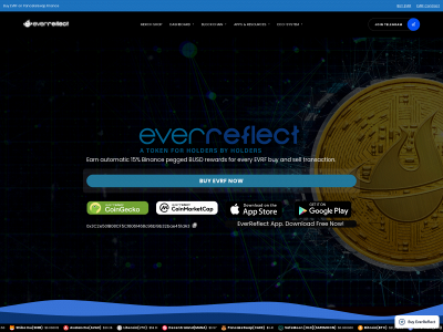 everreflect.io snapshot