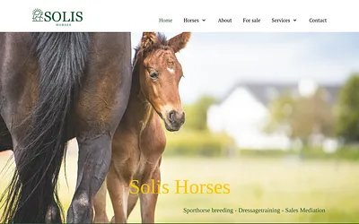 solishorses.be snapshot