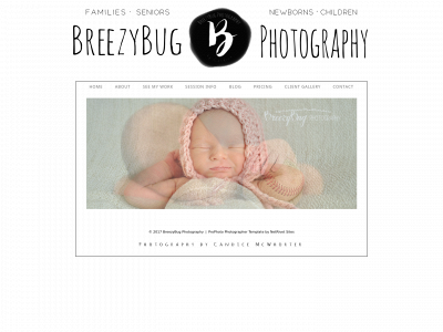 breezybugphotography.com snapshot