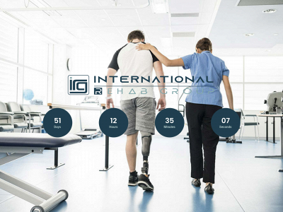intirg.com snapshot