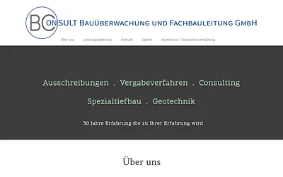 bconsult.online snapshot
