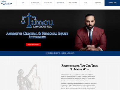 tamoulawgroup.com snapshot
