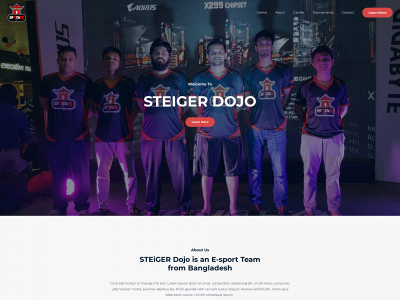 steigerdojo.com snapshot