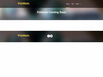 fishnuts.co.uk snapshot