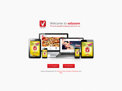 valzoom.com snapshot