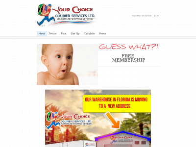 yourchoicecourier.com snapshot