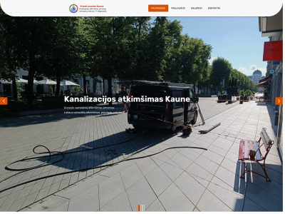 kaunoavarine.lt snapshot