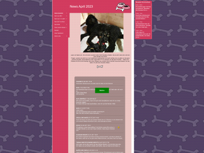 mayas-doodles.ch snapshot