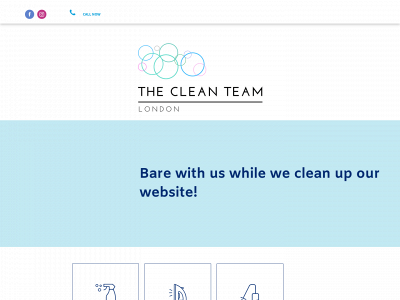 thecleanteamlondon.co.uk snapshot