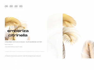 emberiza-citrinella.de snapshot