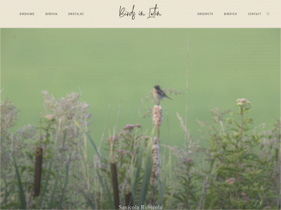 birdsinlatin.com snapshot