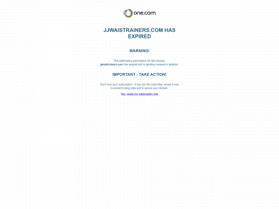 jjwaistrainers.com snapshot