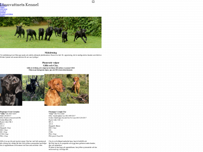 lönnvattnets.se snapshot