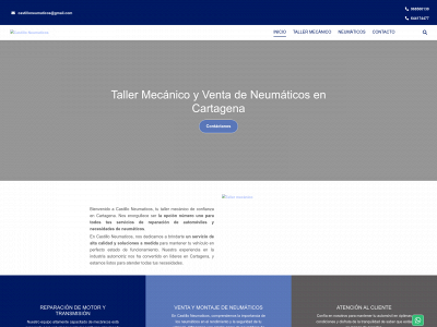 www.castilloneumaticos.es snapshot