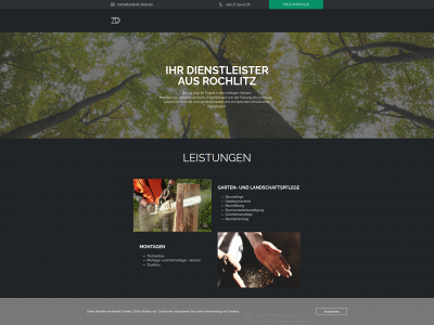 david-ziezio.de snapshot