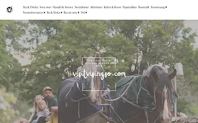 visingso.net snapshot