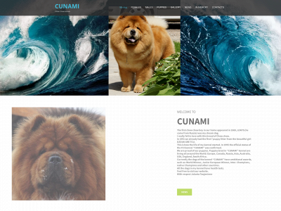 cunami.lt snapshot