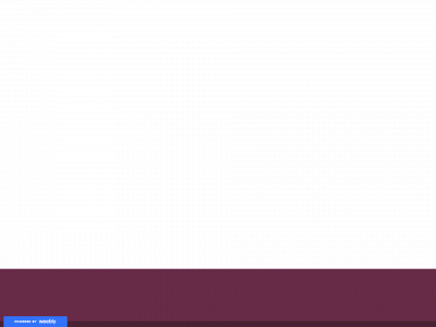 fabulousblink.weebly.com snapshot