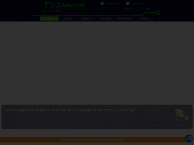 txelectriceirl.com snapshot