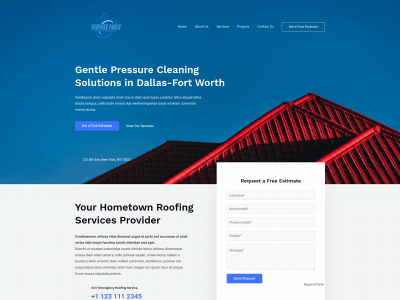 servicefirstsoftwash.com snapshot