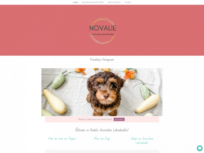 novaliedoodles.com snapshot