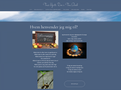 tinashjerterum.dk snapshot