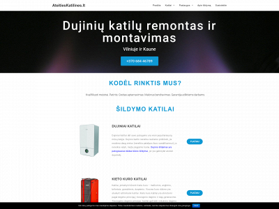 ateitieskatilines.lt snapshot