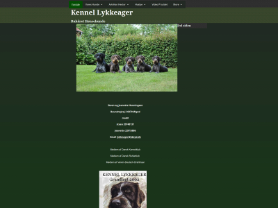 lykkeager.dk snapshot