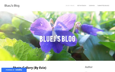 bluejsblog.weebly.com snapshot