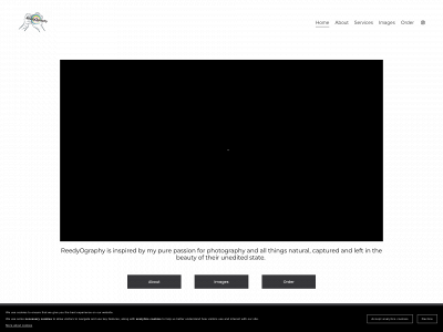 reedyography.co.uk snapshot