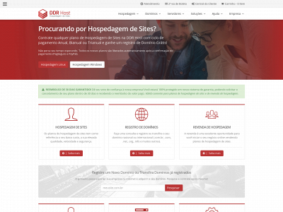 ddrhost.com.br snapshot