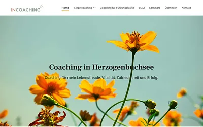 incoaching.ch snapshot