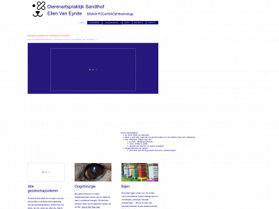 sandthof.be snapshot
