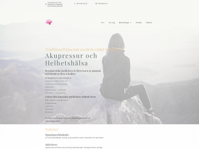 lbtcm.se snapshot