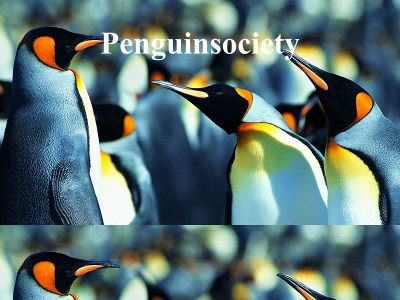 penguinsociety.eu snapshot
