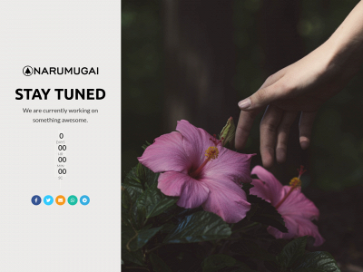 thenarumugai.com snapshot